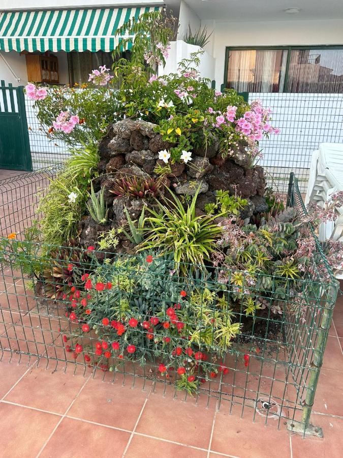 Maspalomas San Bartolomé Εξωτερικό φωτογραφία